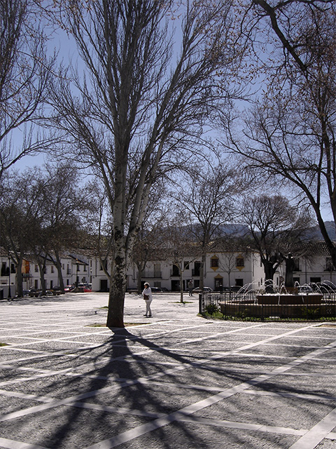 Plaza Ruedo Alameda