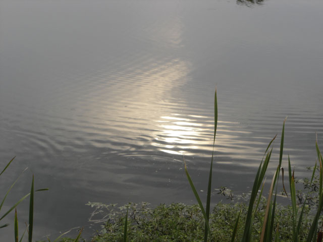 Sun Reflected on Water