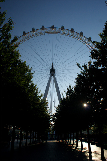 London Eye through the Trees