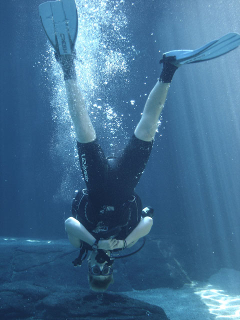 Diver at uShaka Marine World