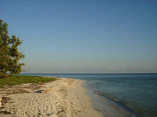 Isolated Beach