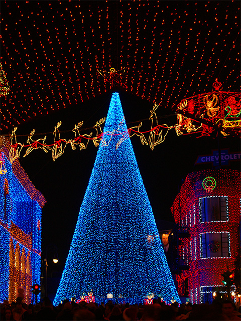 The Osborne Family Spectacle of Dancing Lights at Disney's Hollywood Studios