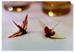 Nine Leaves Rum Origami