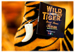 Wild Tiger Special Reserve Rum